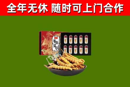 永川烟酒回收冬虫夏草礼盒.jpg