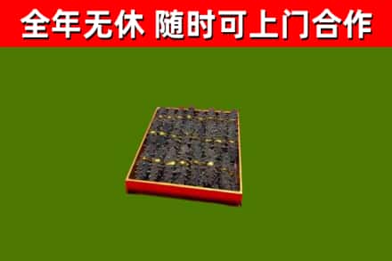 永川烟酒回收海参.jpg